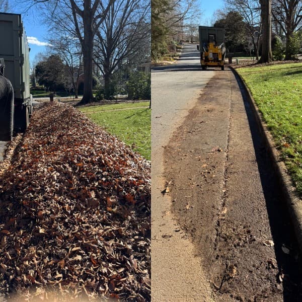 Before and after leaf removal with Big Star vacuum truck in Greensboro, NC